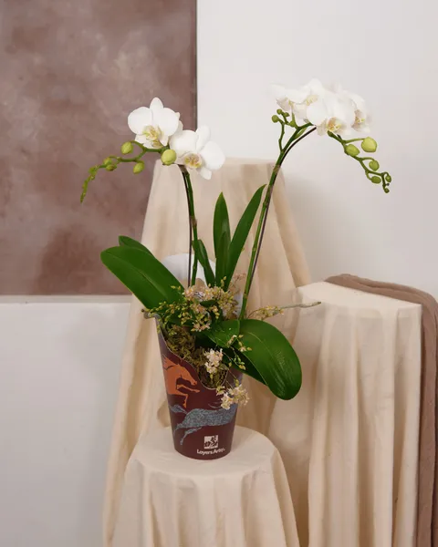 NHÃ NGUYỆT