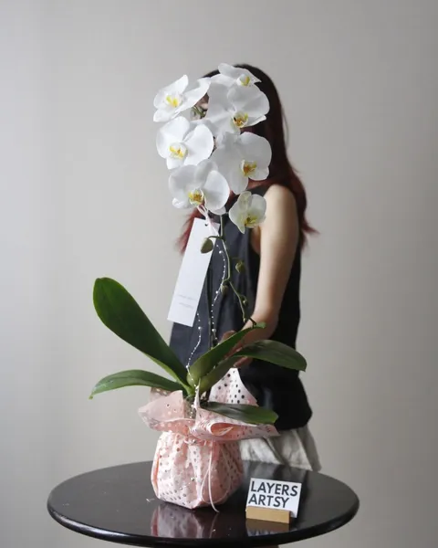 LHD - 22