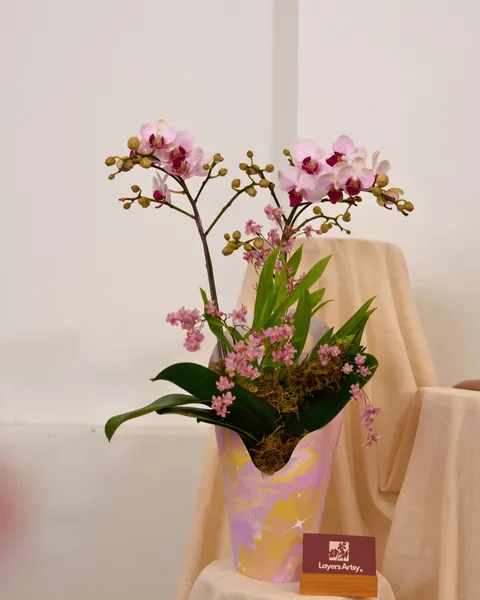 YÊN CHI