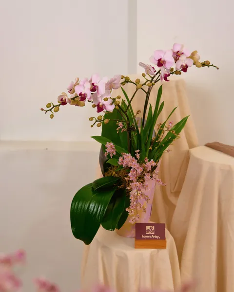 ĐÀO NHIÊN