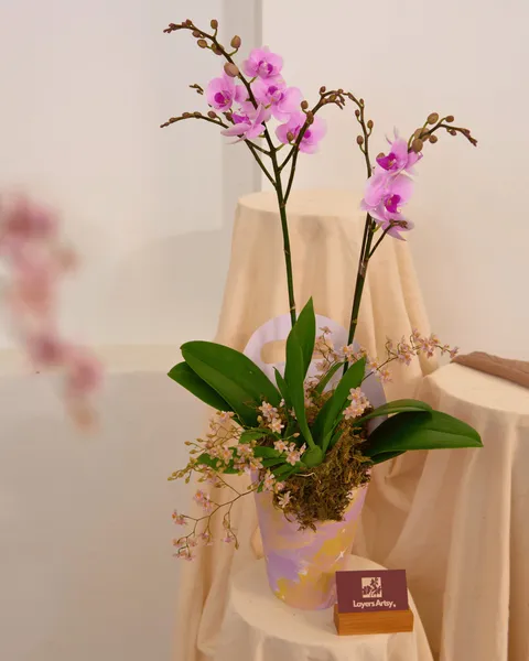 HỒNG NGỌC
