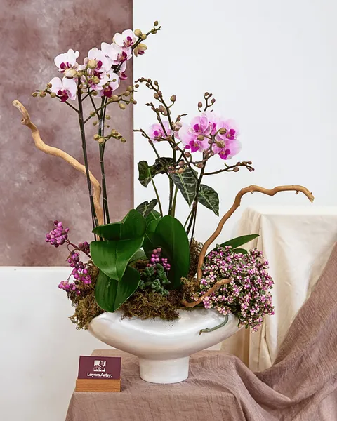 NHIÊN LAN